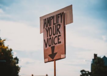 Civic Responsibility Examples