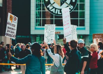 Understanding Political Structures 