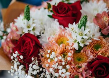 What Flowers can you Gift to her