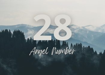Understanding Angel Number 28 Meaning