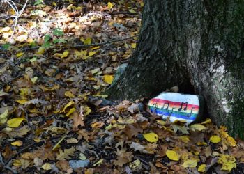 The Art and Soul of Creating Memorial Tree Spaces