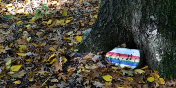 The Art and Soul of Creating Memorial Tree Spaces