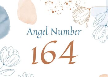 Understanding Angel Number 164 Meaning