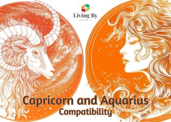 Capricorn and Aquarius Compatibility