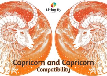 Capricorn and Capricorn Compatibility