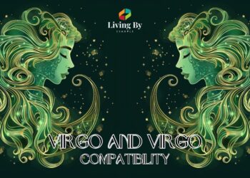 Virgo and Virgo Compatibility